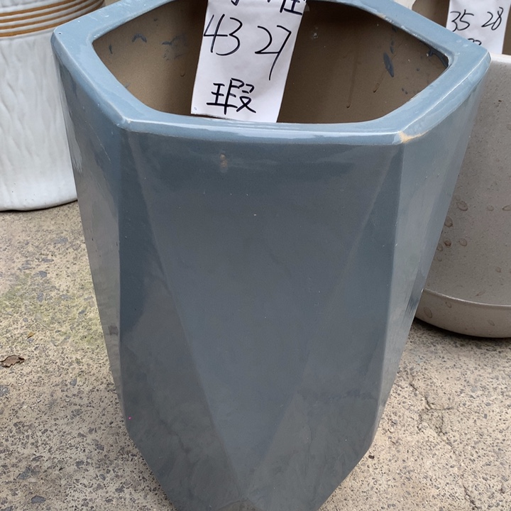 花盆里的小猫咪们都好可爱啊哈哈