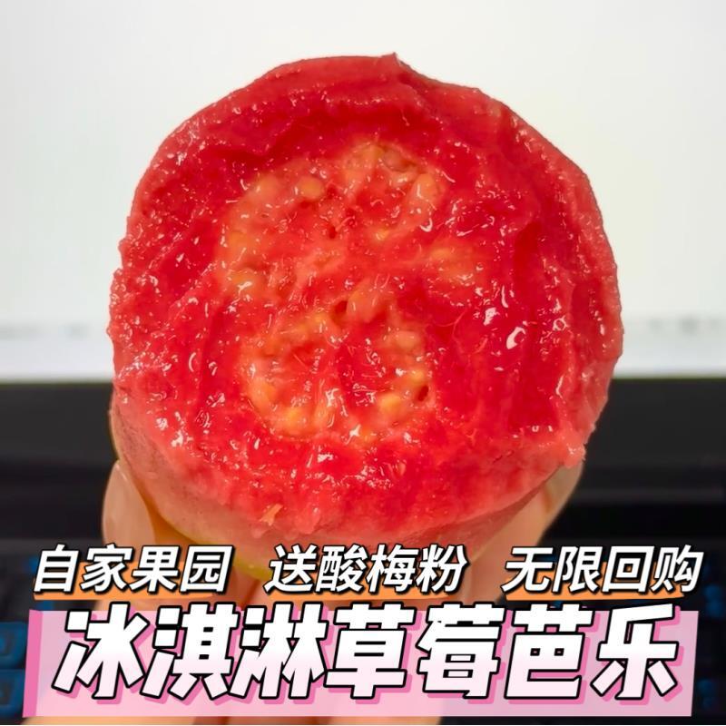 福建漳州红心软芭乐软糯香甜奶油芭乐低脂低卡当季新鲜水果