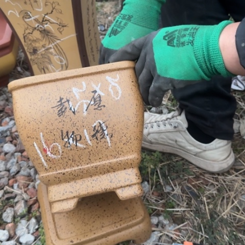 红陶紫砂花盆盆景盆景栽