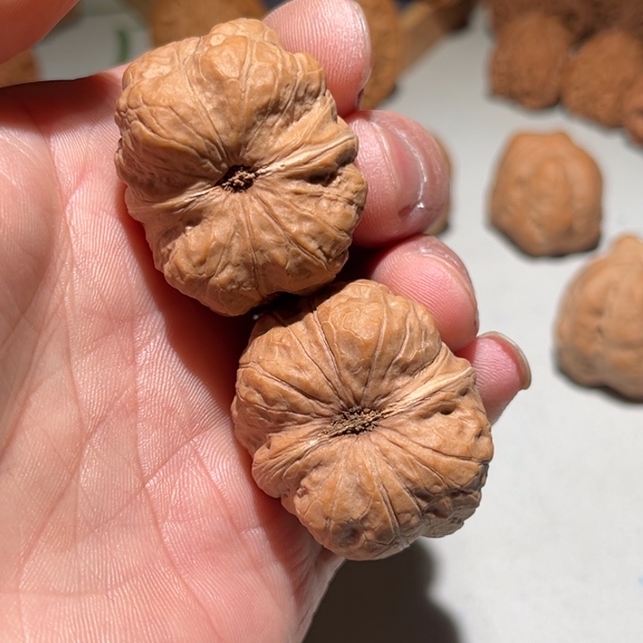 难***赴把件文玩核桃37玉蝉