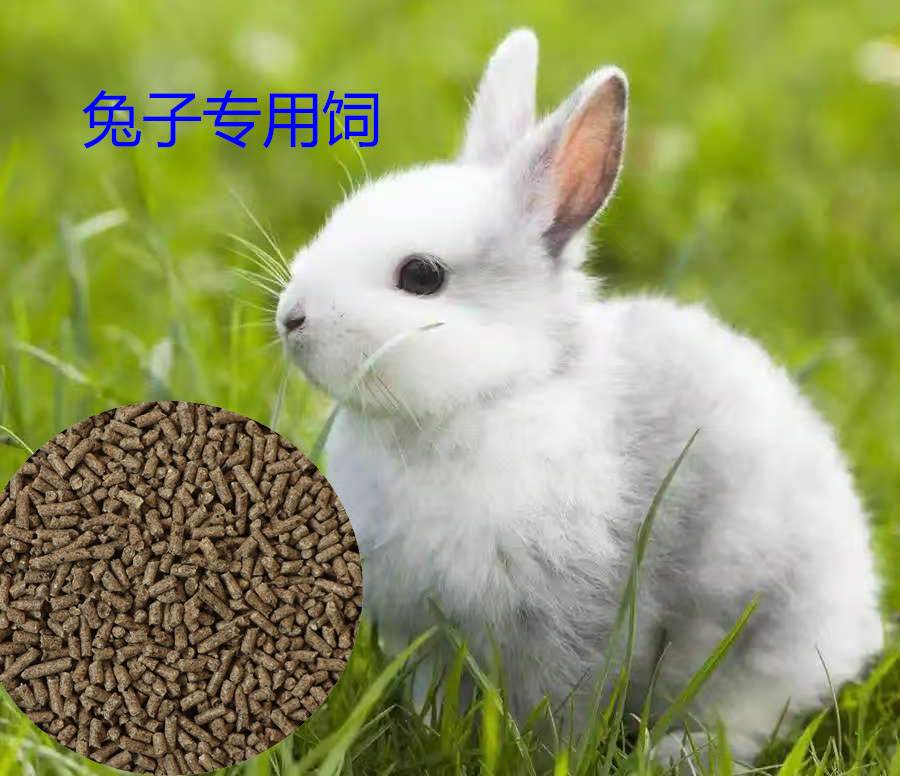 成兔母兔妊娠哺乳期兔粮宠物兔獭兔侏儒兔颗粒饲料兔粮批发