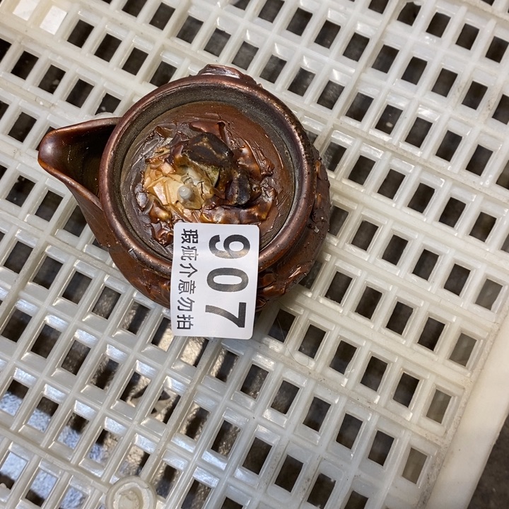 杯柴烧的杯子哦哈哈哈