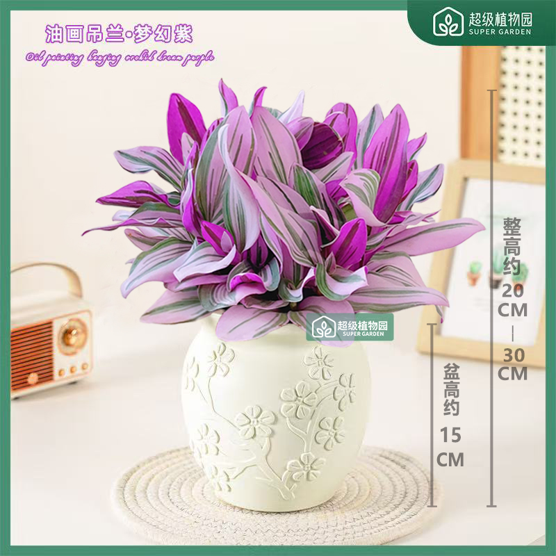 婚礼油画吊兰花卉盆栽客厅垂吊绿植客厅办公室桌面四季花卉盆景