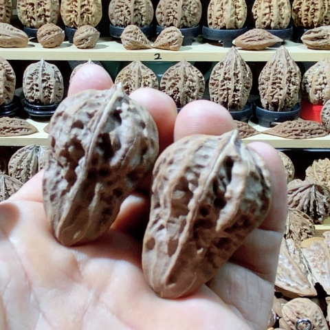 文玩核桃把件蘑菇头