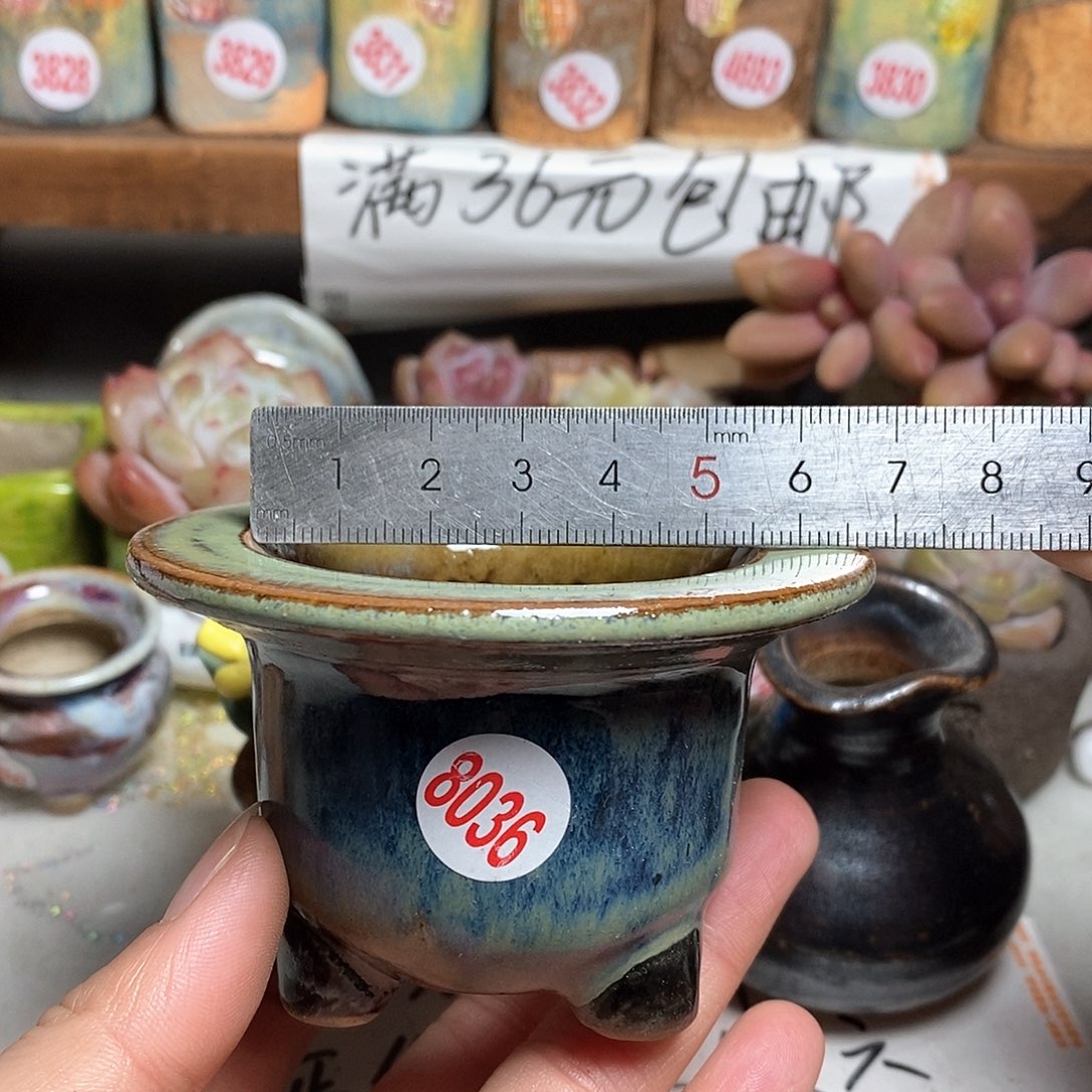 红陶拍5送一个小