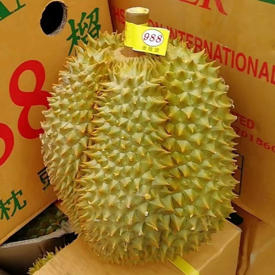 冻榴莲肉泰国金枕榴莲500g纯肉新鲜核小金枕泰国