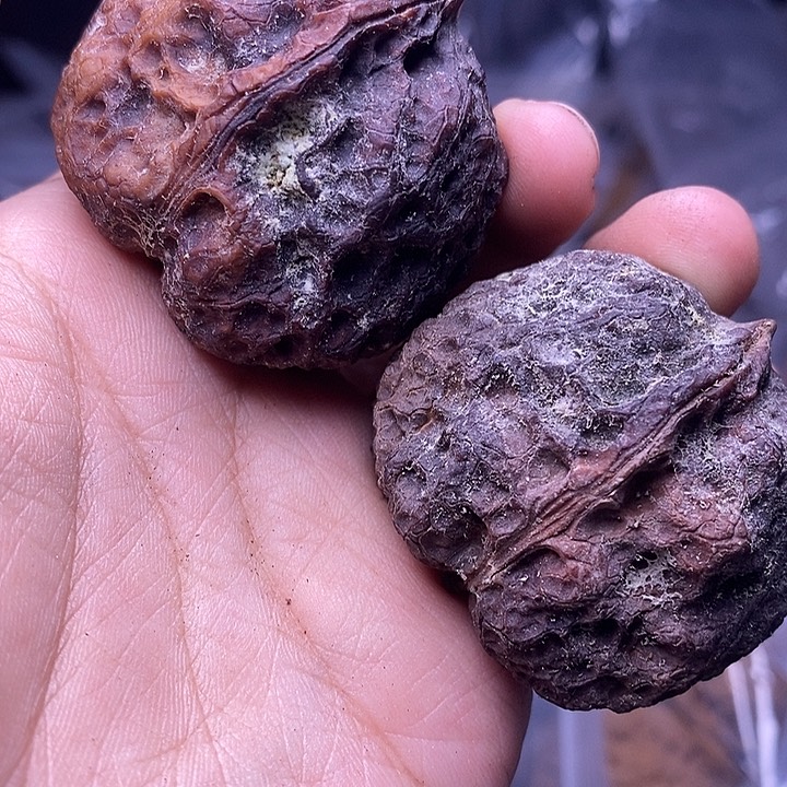 文玩核桃吊坠   209