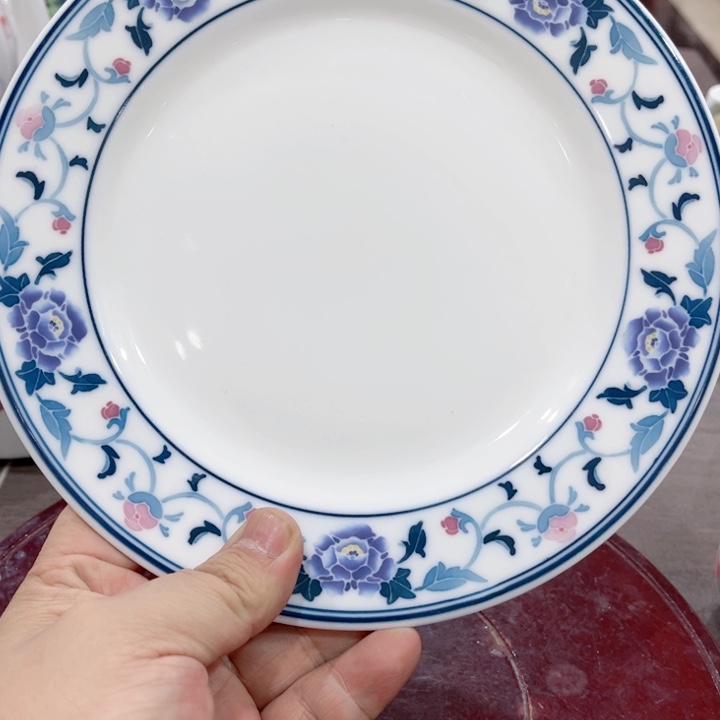 碟釉下五彩的瓷器在瓷器