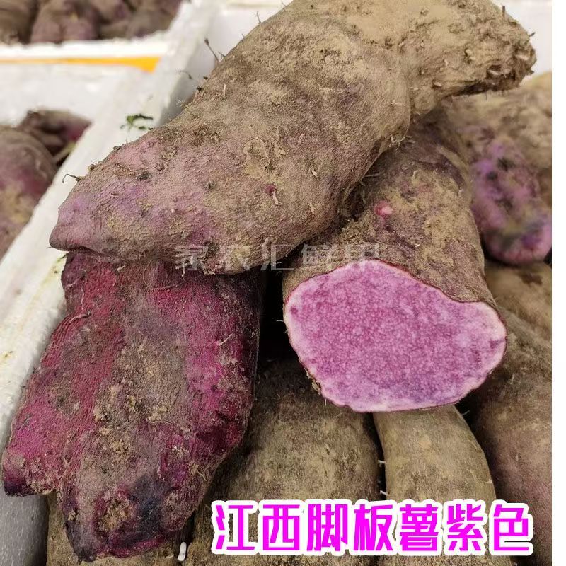 江西赣南脚板薯紫色大薯包邮赣州紫山药毛薯新鲜蔬菜现挖紫心淮山