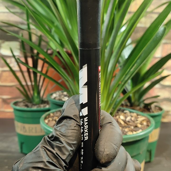 完全开放11111111111