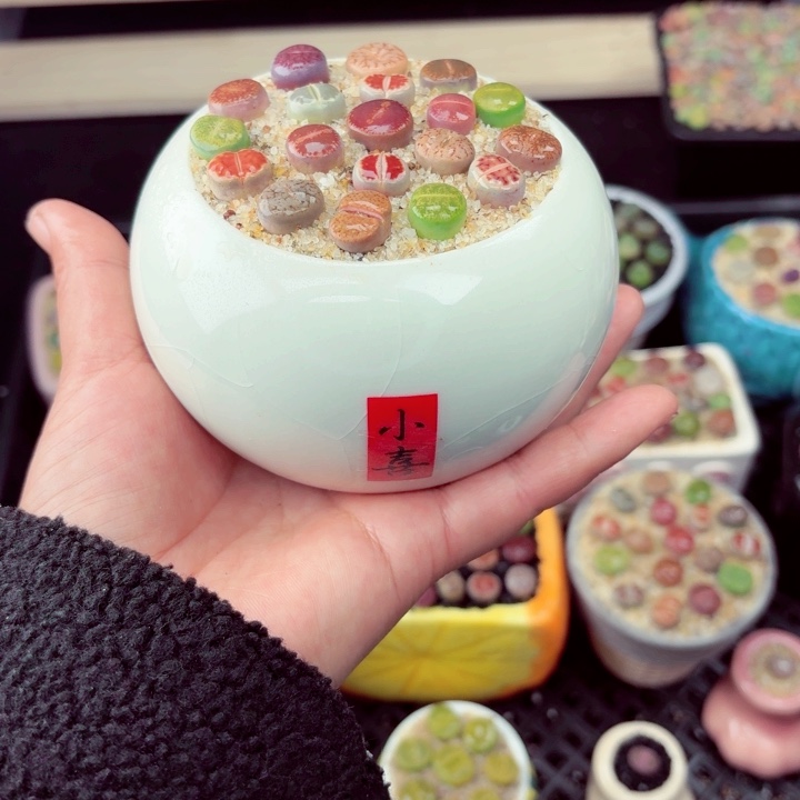 623零下地区记得拍包保温箱满18包邮