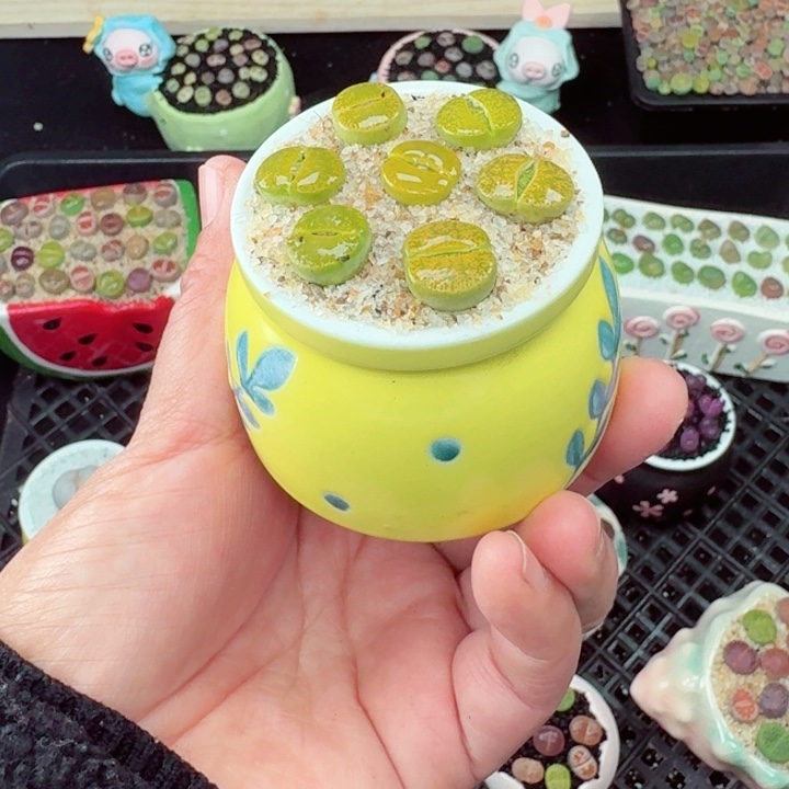 833零下地区记得拍保温箱满18包邮