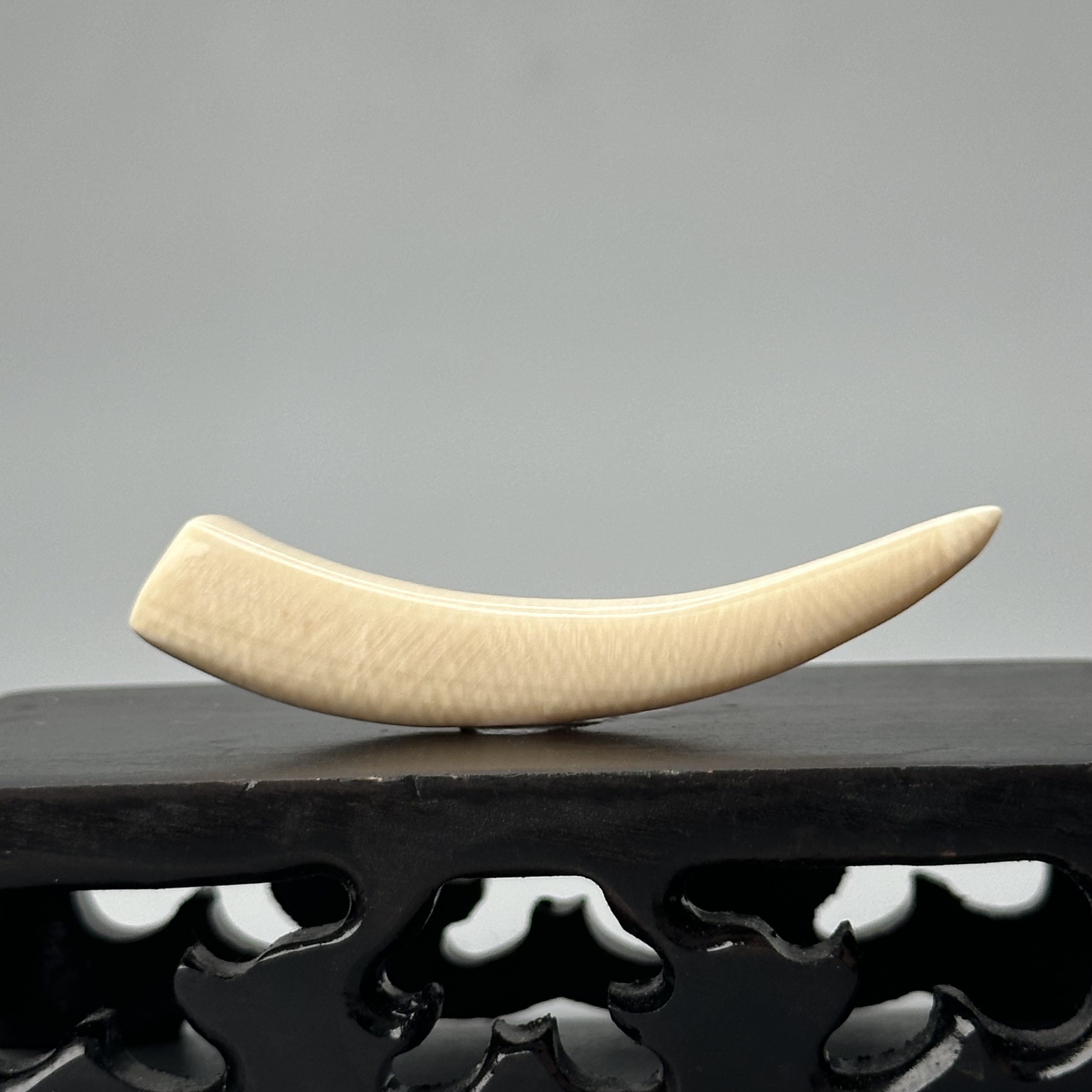 DEZHI/德志3.1g纯肉牙尖52*8*8mm天然猛犸牙默认打孔绑绳P285