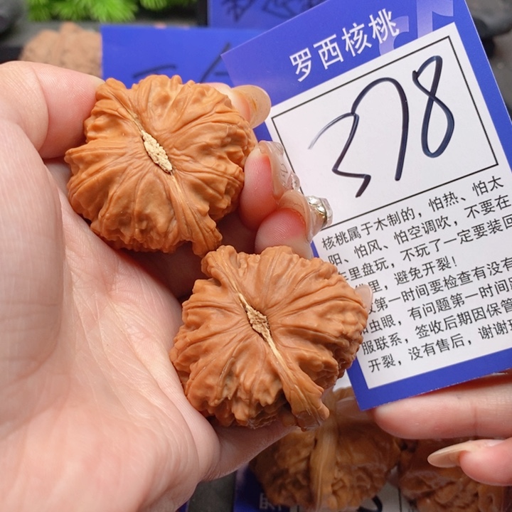 吊坠桃核42白狮子378