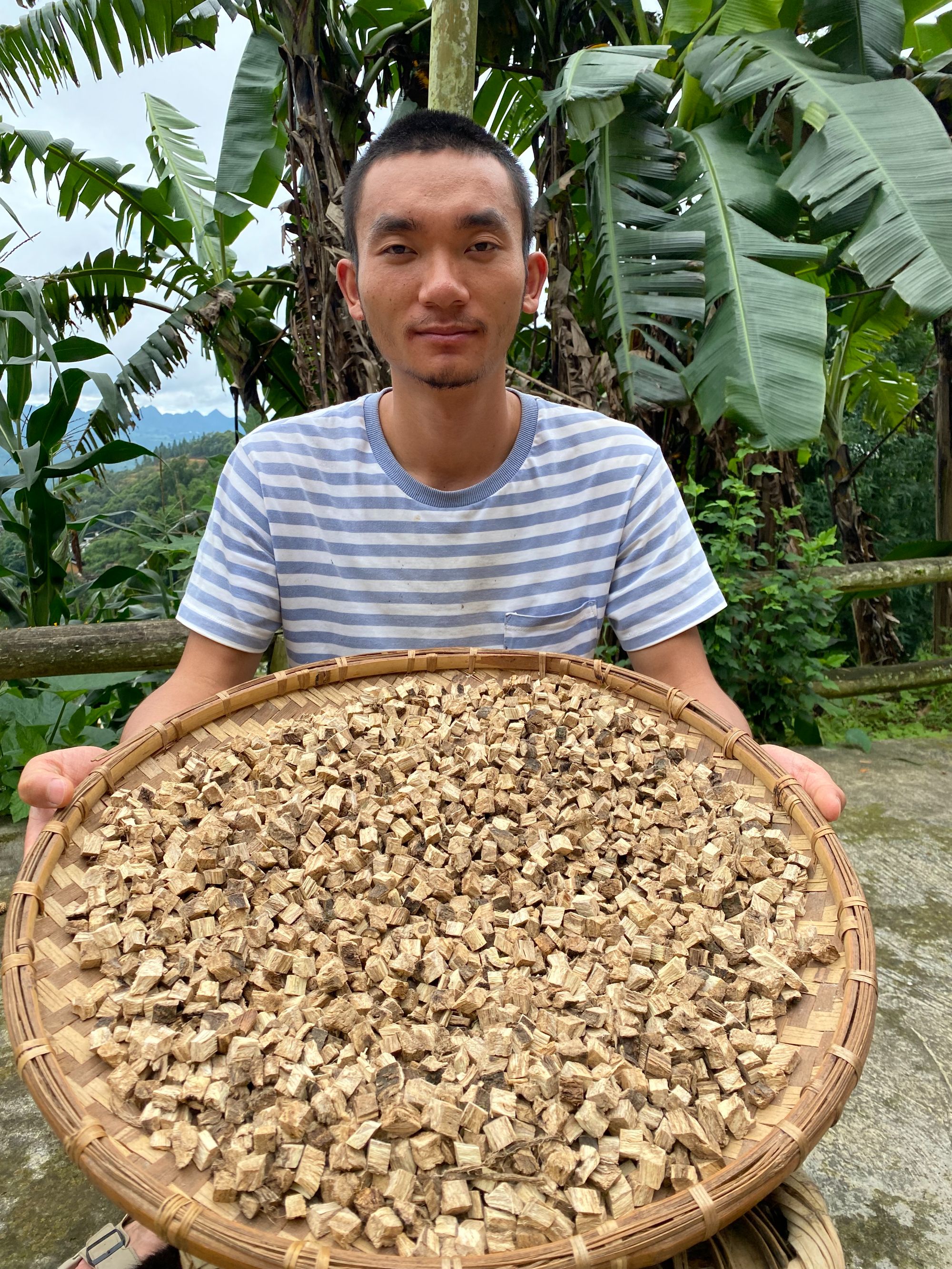芳官野生葛根柴葛根可以搭配山茱萸