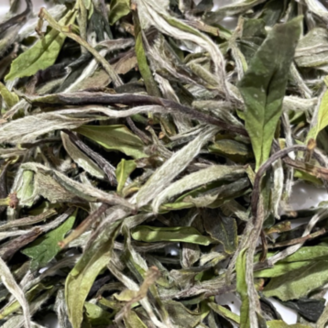 2025年福鼎白茶白牡丹一级老树管阳茶高山茶花香毫香明前茶