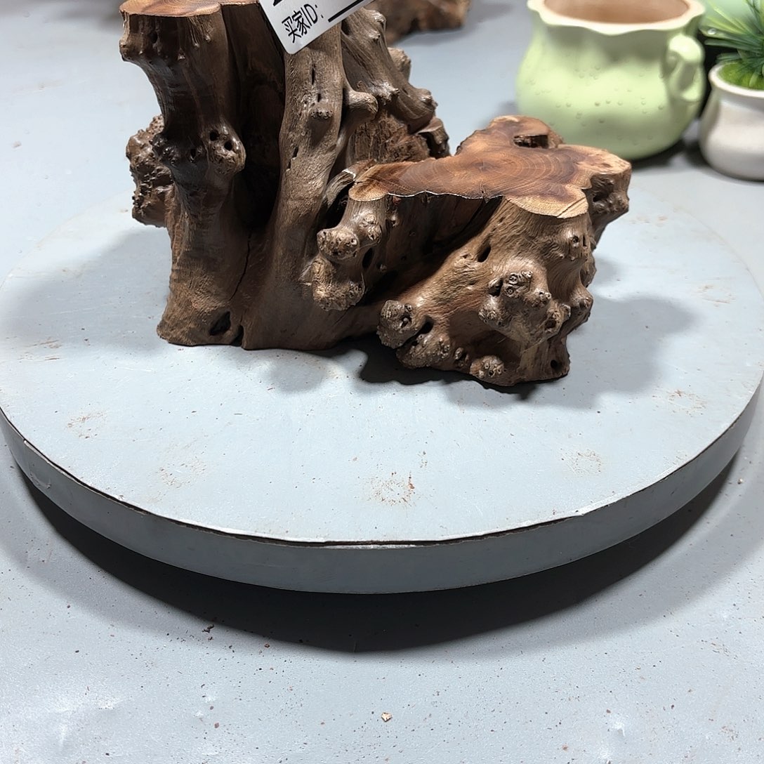 翅***膀大果紫檀（缅甸花梨）