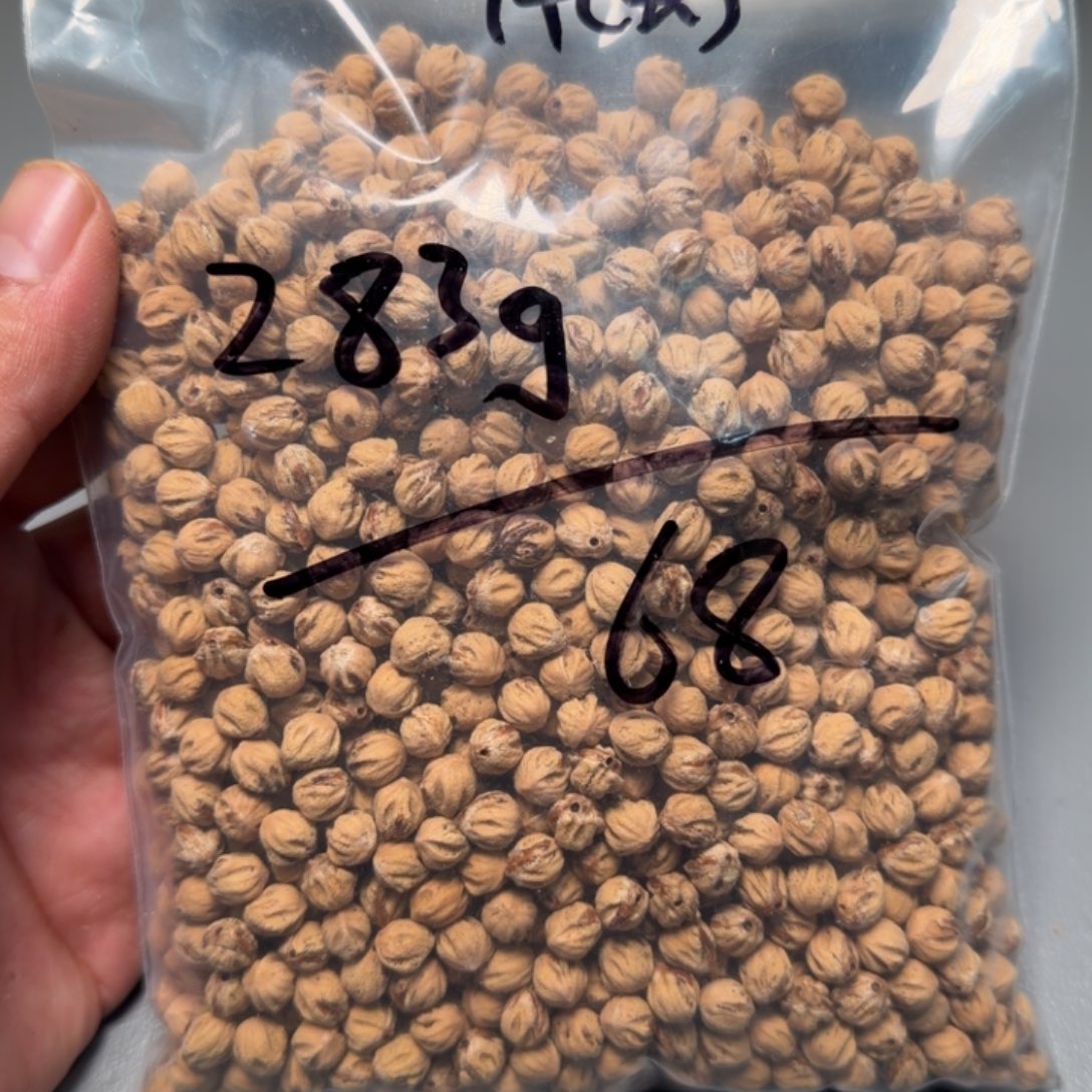 *****柏香籽/百香籽吊坠