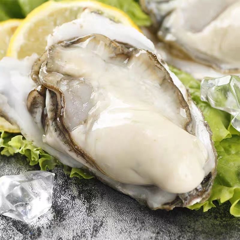 【2＋】生蚝鲜活可刺身包肥包鲜2KG