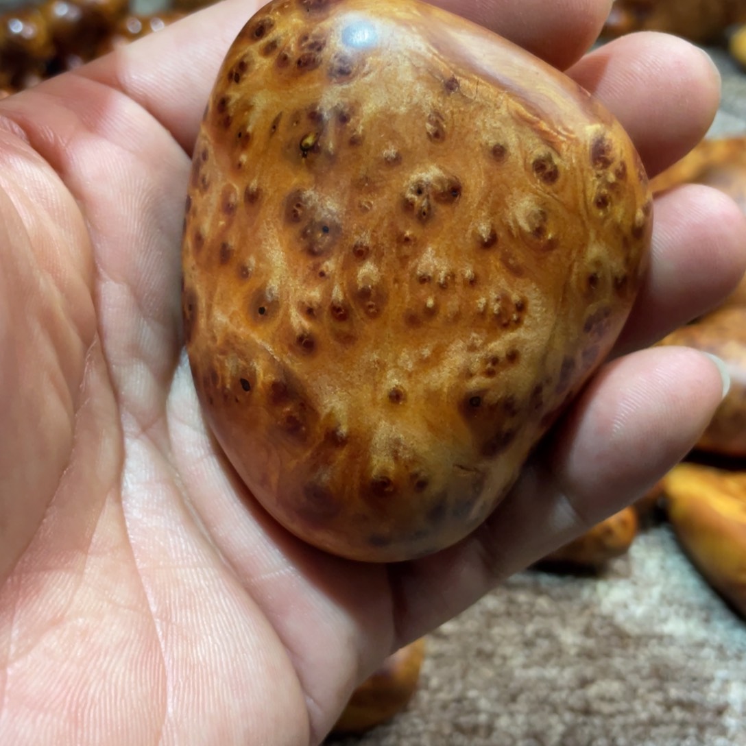 柏木（崖柏）其他把