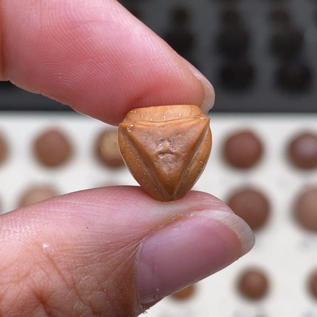 可***生凤眼菩提吊坠龙塔