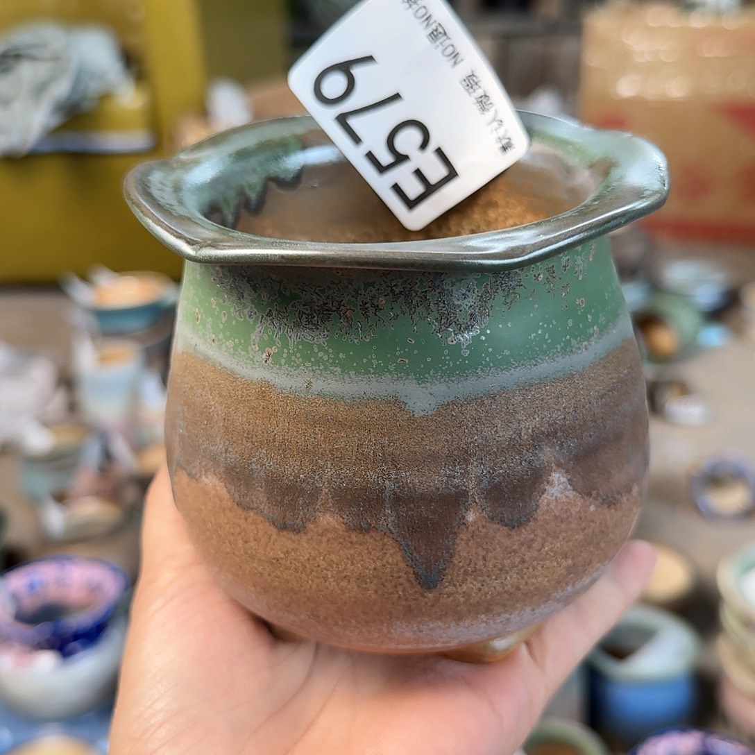 重庆小燕子欢迎大家579