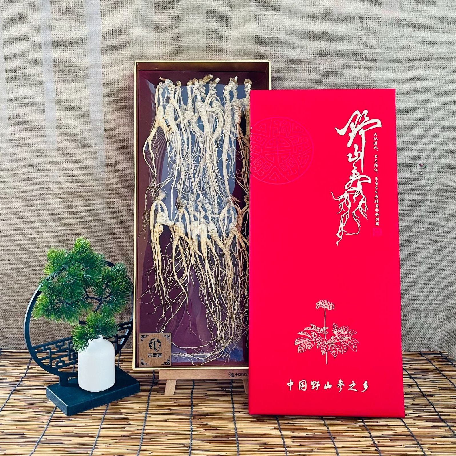 长白山高龄林下野山参 打粉泡酒煲汤 滋补佳品 高档礼盒 包邮