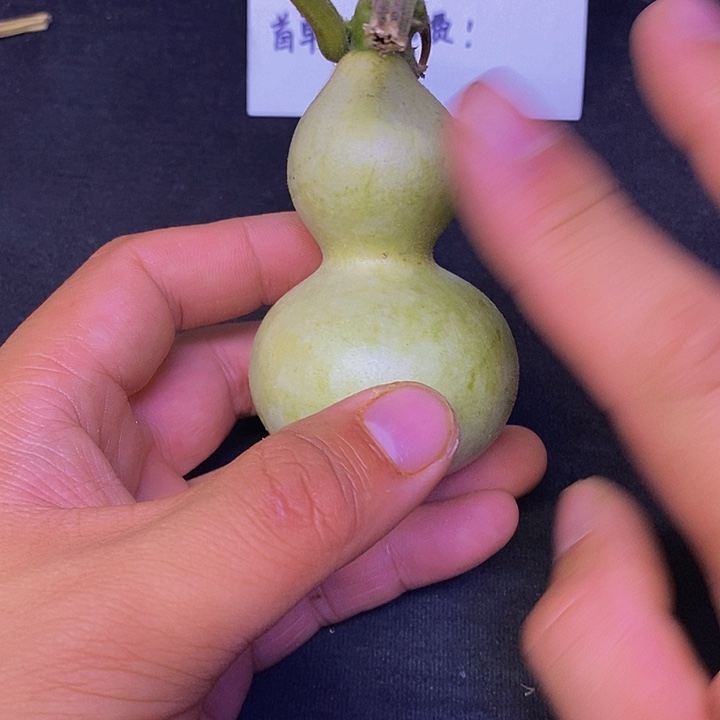 岁***逝哈哈哈哈哈哈哈哈哈哈哈