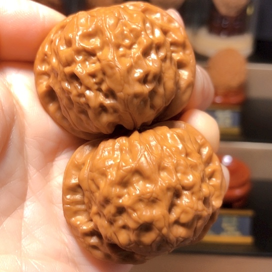 天花板皮质：敦煌