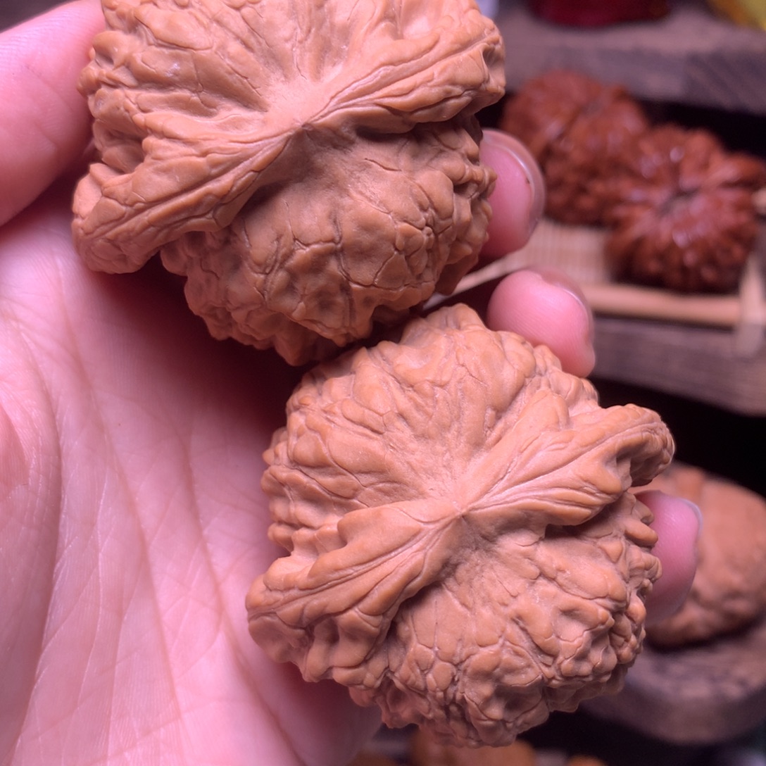 把件文玩核桃51龙鼎全品