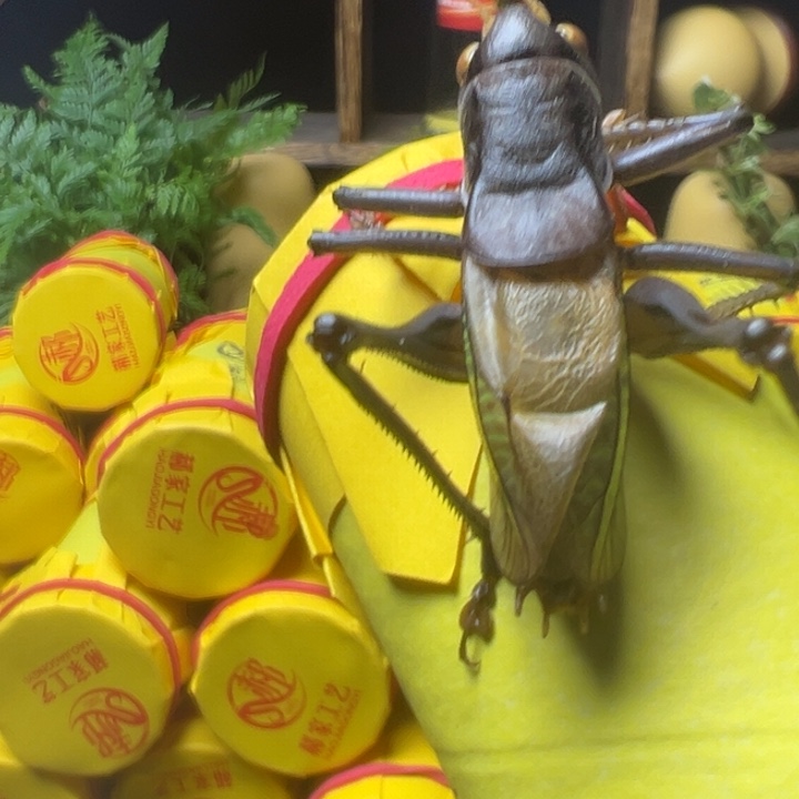 孤***✘郝建伟大包蝈蝈一条