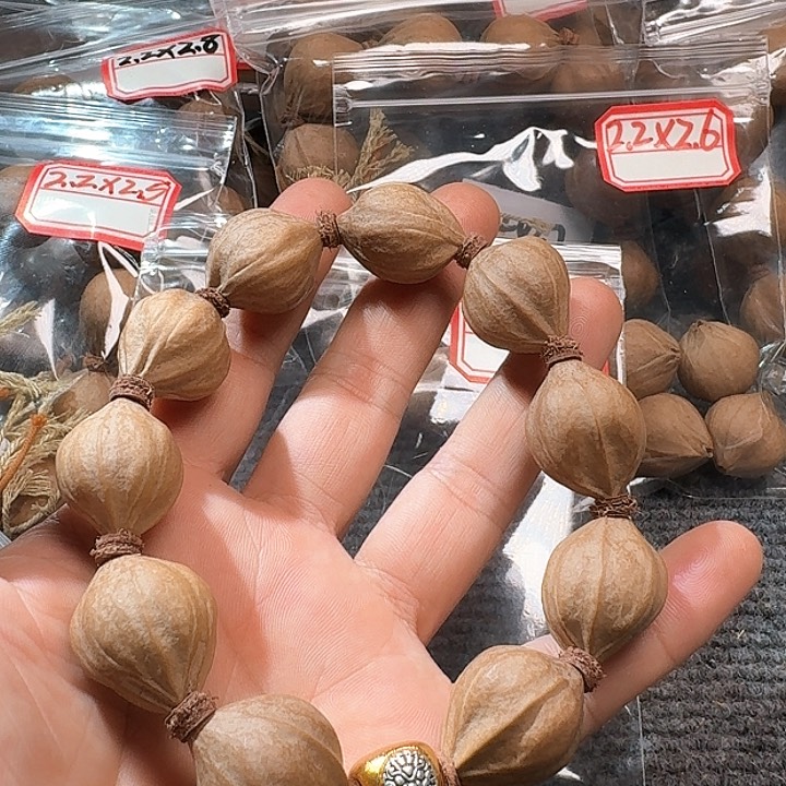 吊坠橄榄核2.0❌2.6