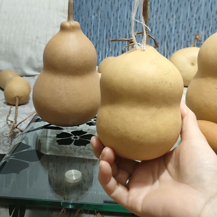 @***J藤家居饰品家居饰品