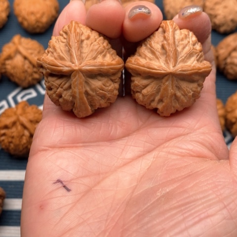 橄榄核手串/手链金锭四棱37