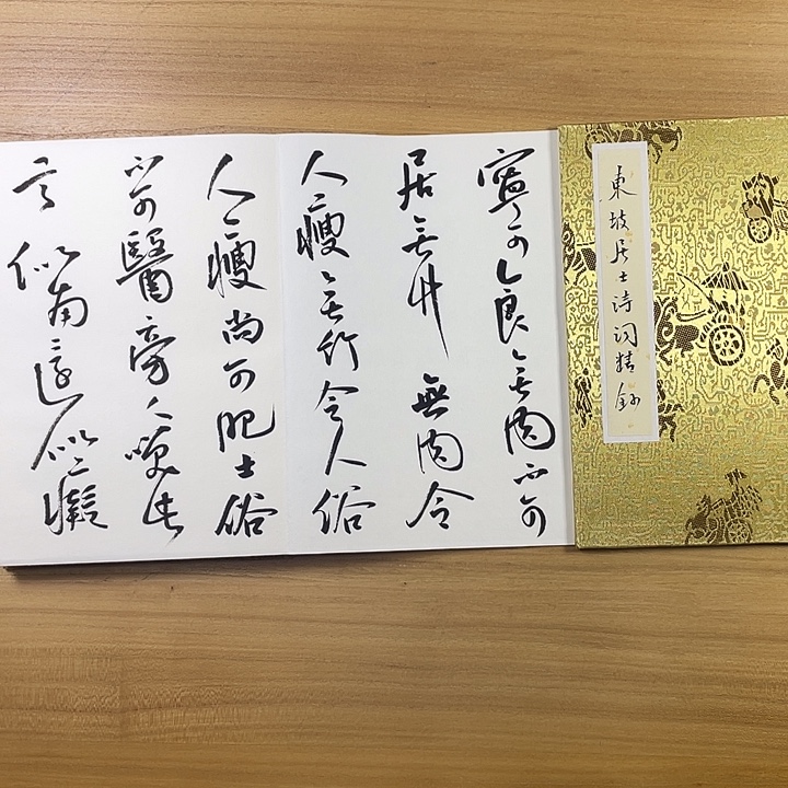 书法中书协会员作品