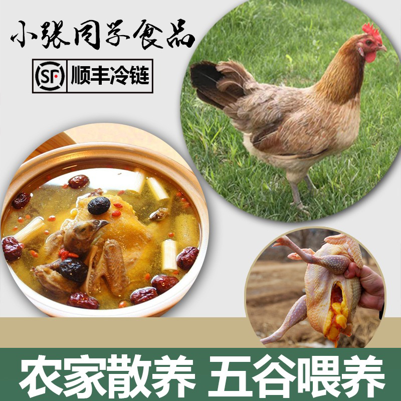 (张扬专属）2年以上散养土鸡炖汤美味生鲜鸡肉