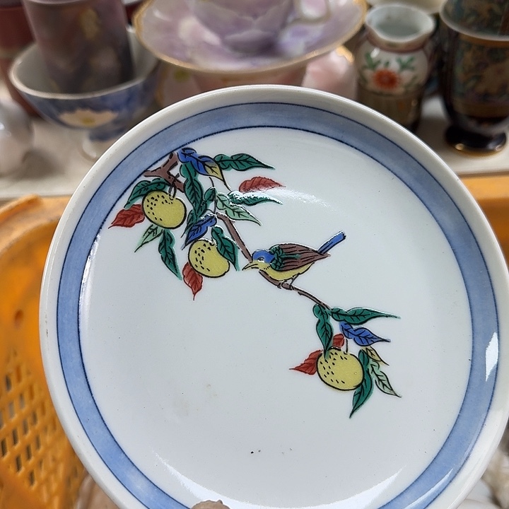 碗开播啦…开播啦