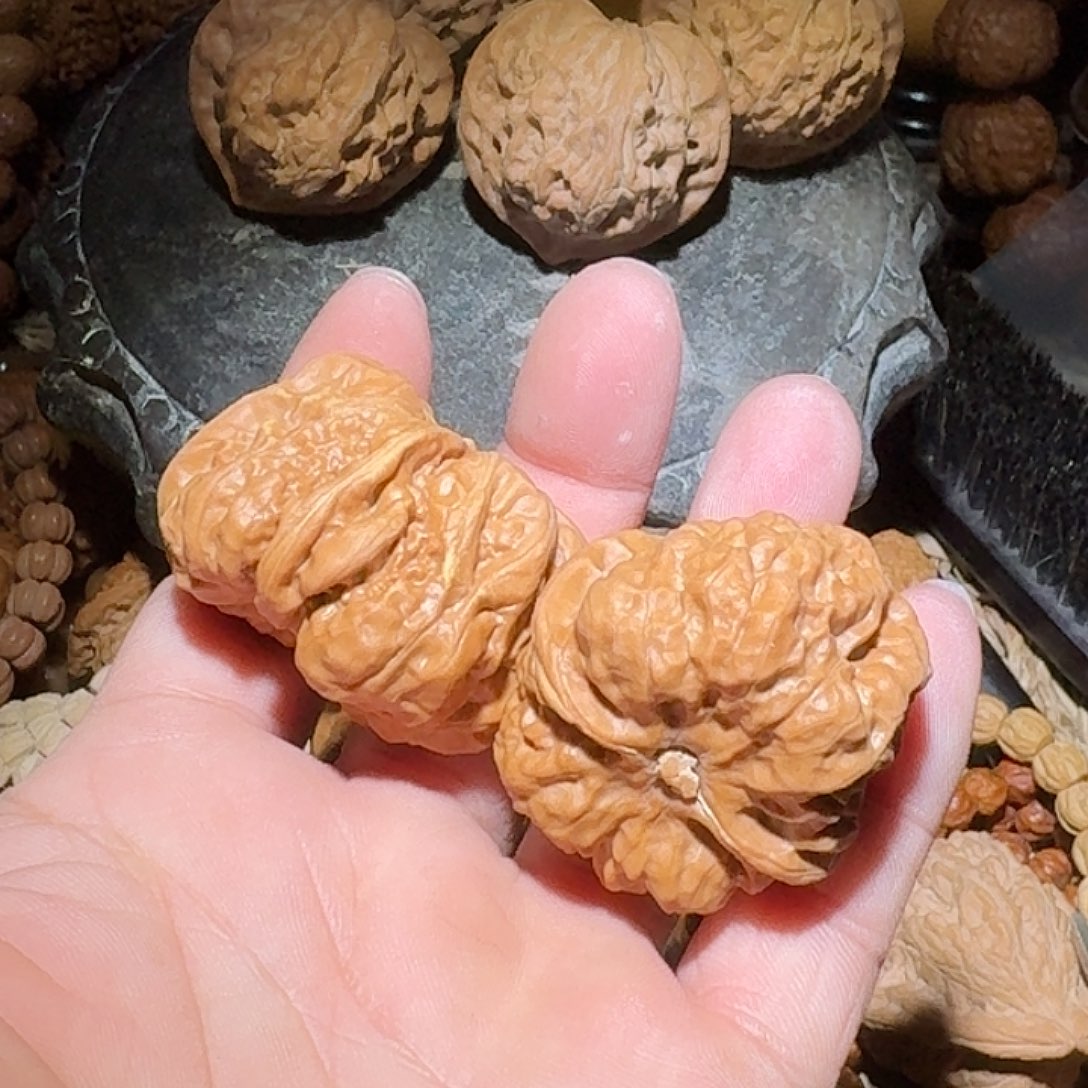 养***名核桃41尺蓟县山地蛤蟆头