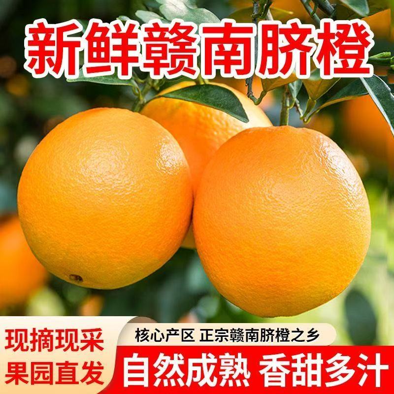 限时限量（次日达）正宗赣南脐橙 云仓发货 鲜嫩多汁香甜可口 皮薄肉厚江西省