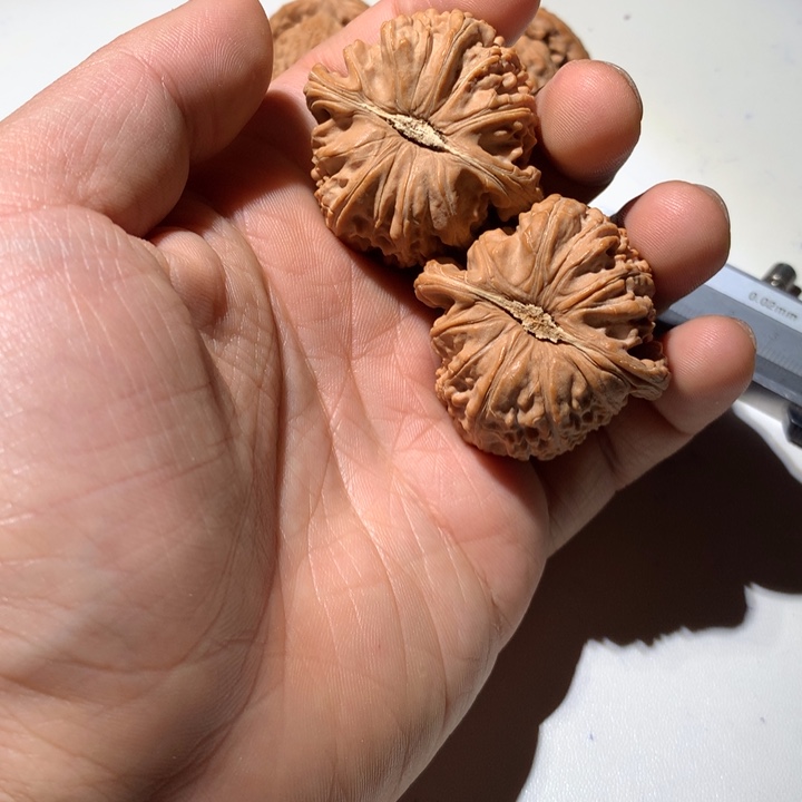 把件文玩核桃烦*烦白狮子