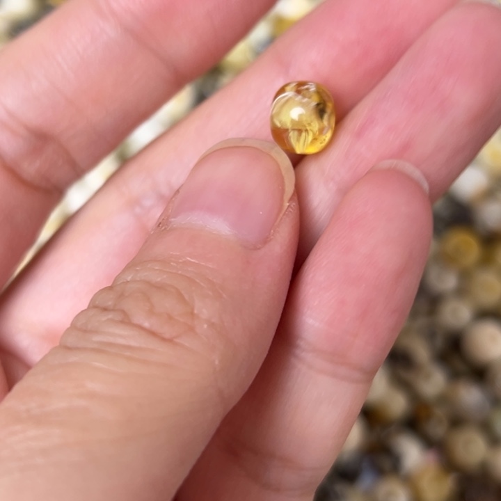 蜜蜡未镶嵌裸石8mm一个