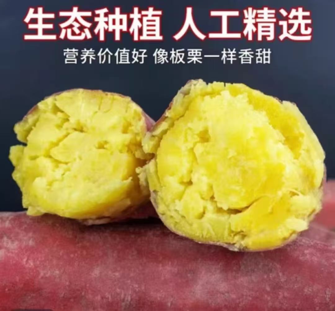 【买3斤送2斤】陕西正宗板栗红薯蜜薯粉糯香甜饱满皮薄现挖