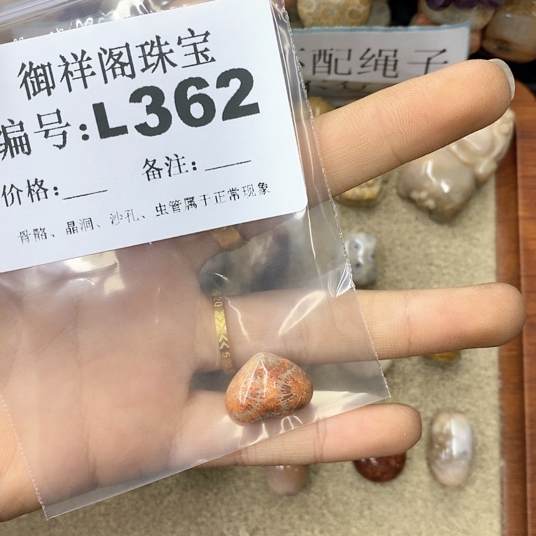 硅化珊瑚（珊瑚玉）n未镶嵌南**月