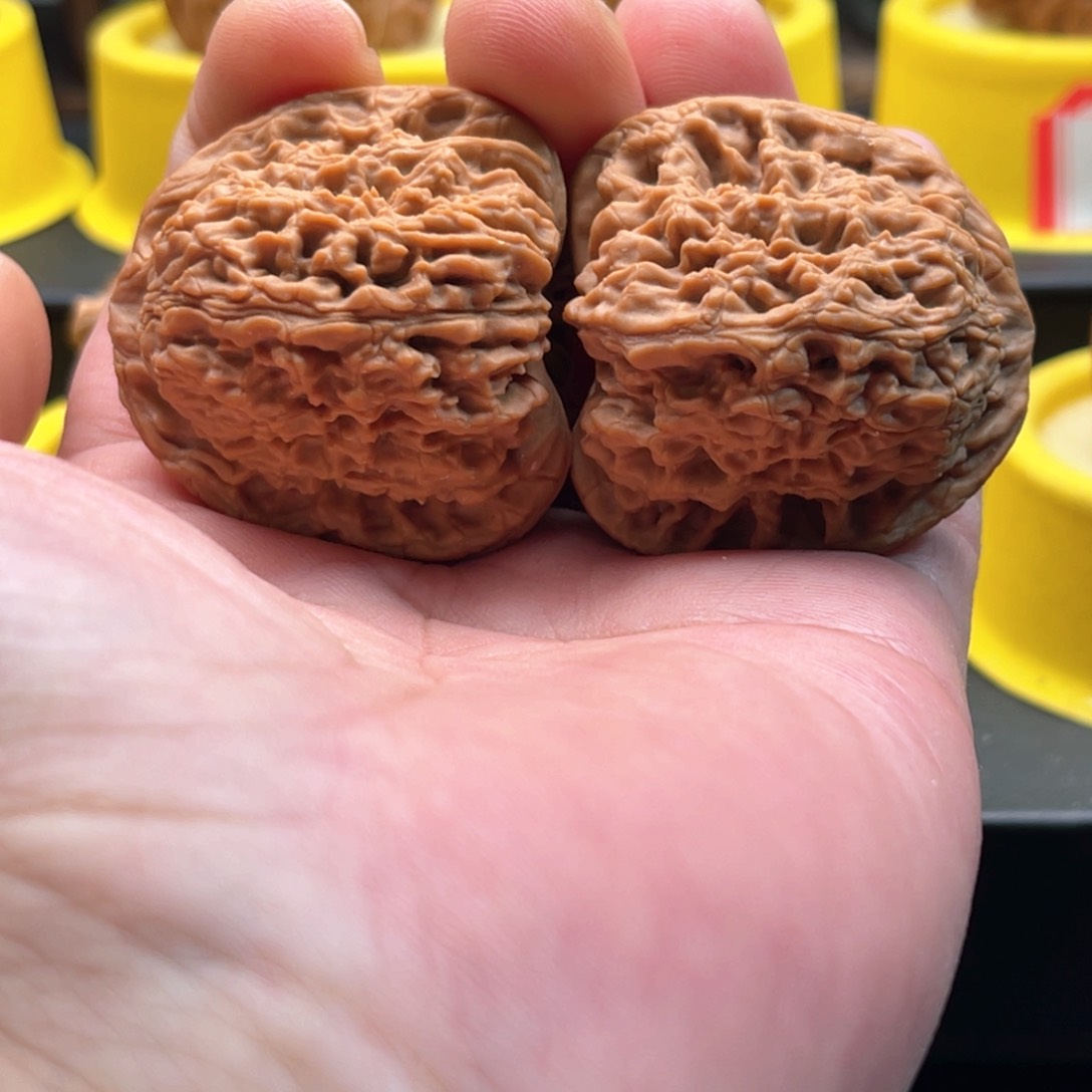 文玩核桃吊坠40高炮南疆