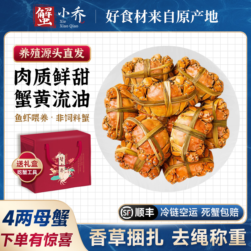 【4两大母蟹】（送公蟹蟹王）蟹小乔活蟹大闸蟹6-8只固城湖螃蟹活蟹