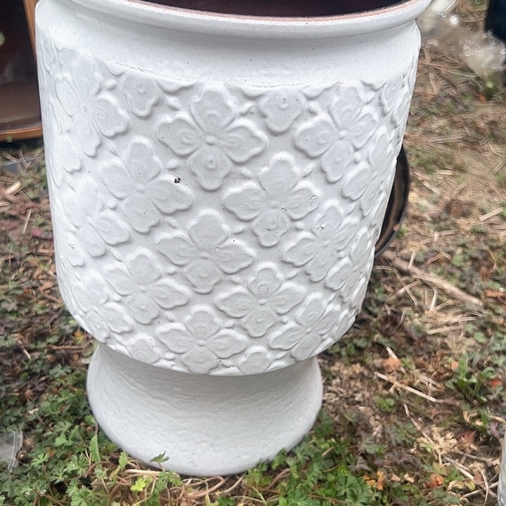 红陶口20高31福利价