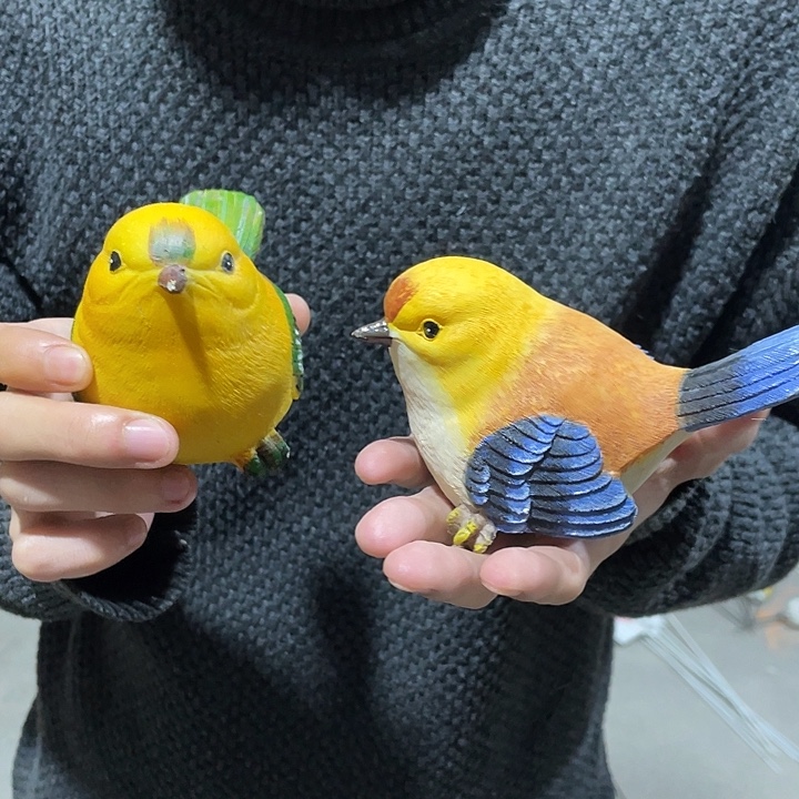 树脂样品样品样品小鸟