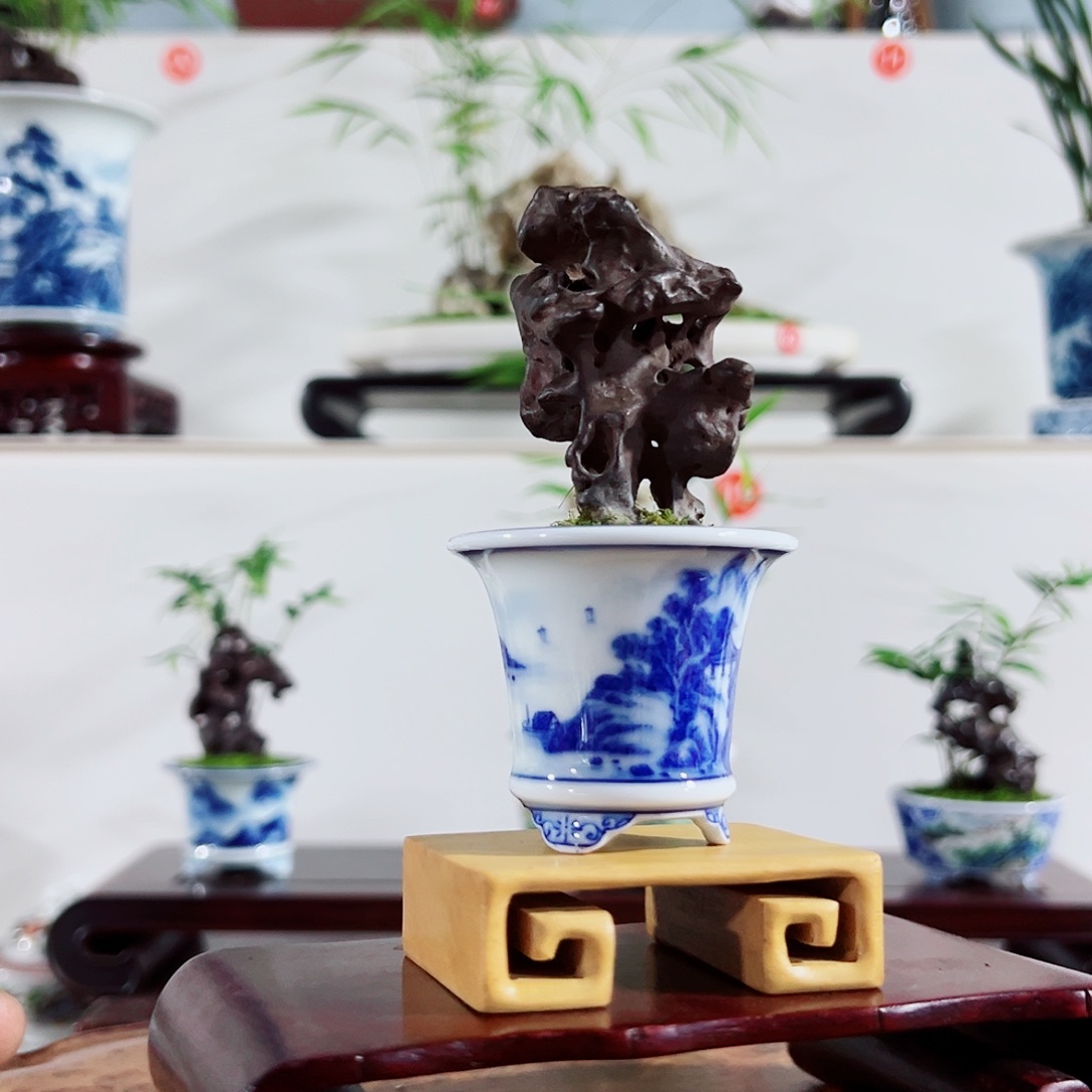 钢***臂无花朵盆景，太湖石，，，，，，