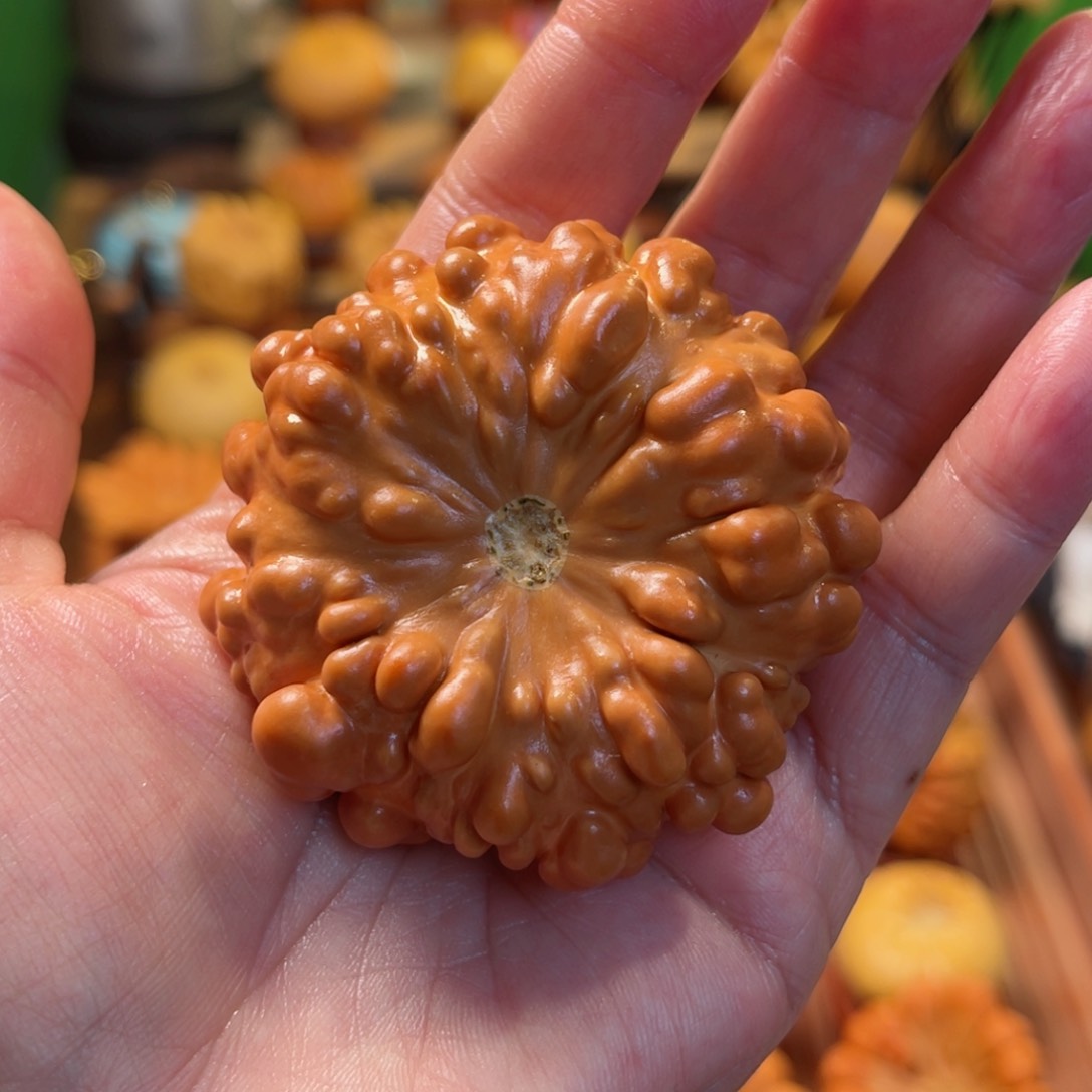 @****离墨西哥葫芦手把疙瘩