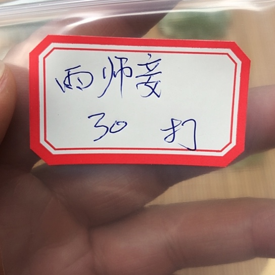 蛇纹石玉颈饰合金雨*妾